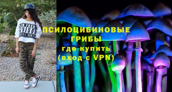 дмт Баксан